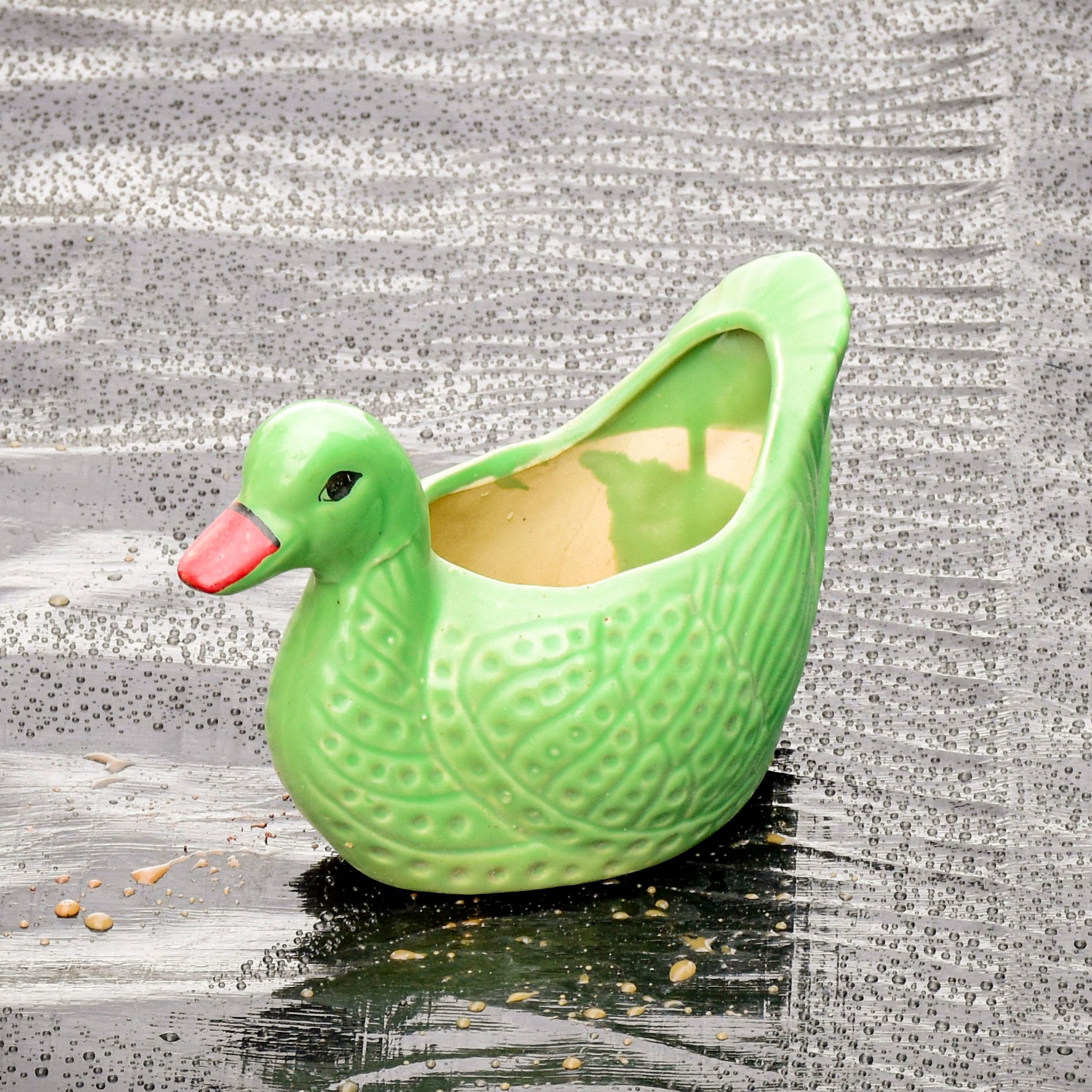 6 Inch Duck Designer Ceramic Pot (any colour)