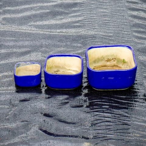 Set of 3 - 3,5 & 7 Inch Blue Classy Square Ceramic Pot