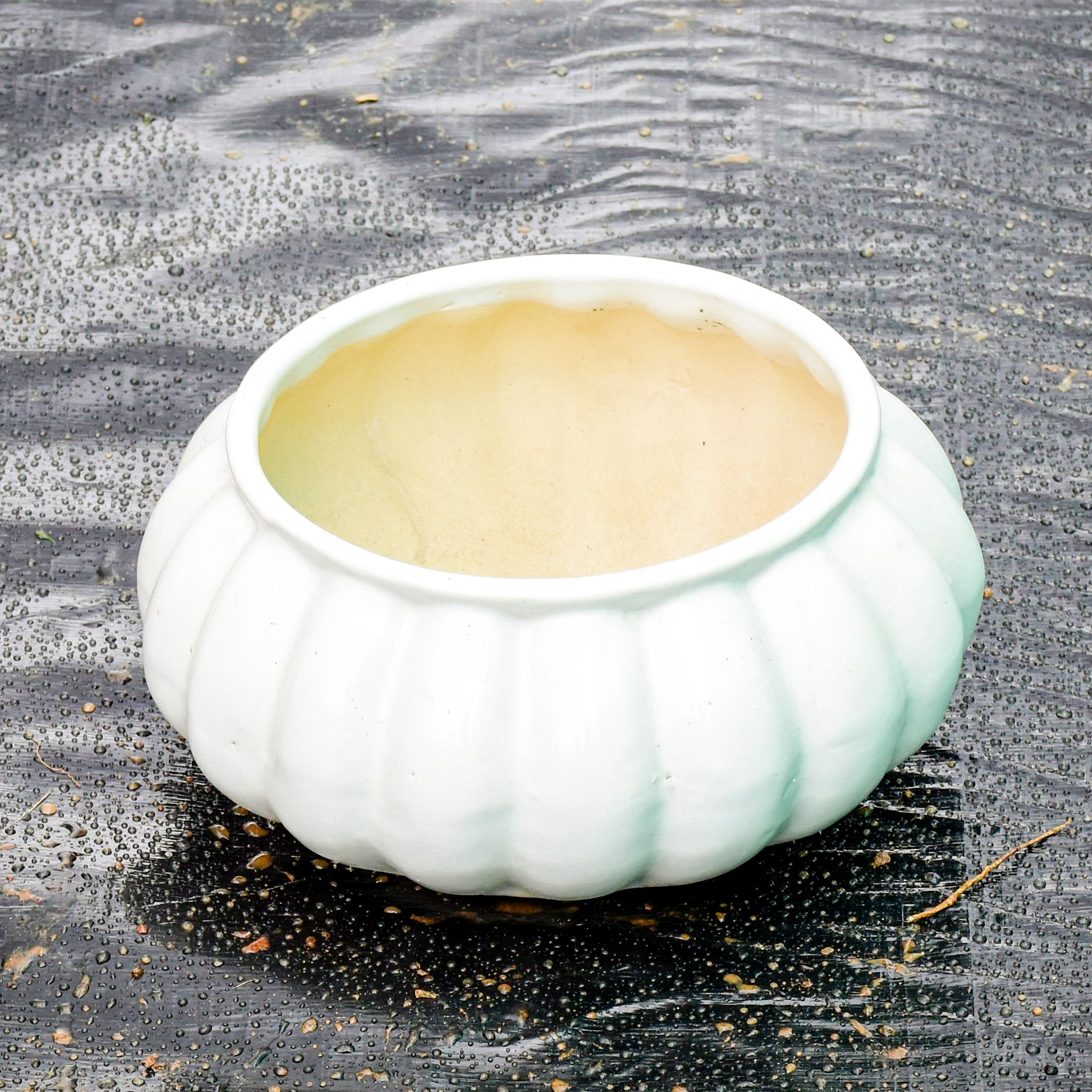 8 Inch Classy White Round Designer Ceramic Pot