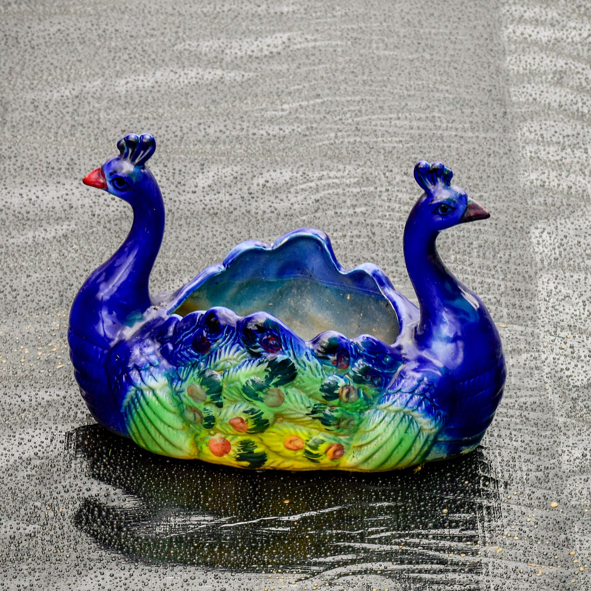 8 Inch Double Peacock Designer Ceramic Pot (any colour)