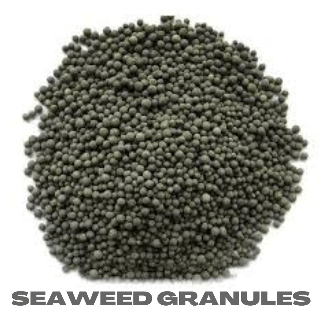 Seaweed Granuals - 1 Kg