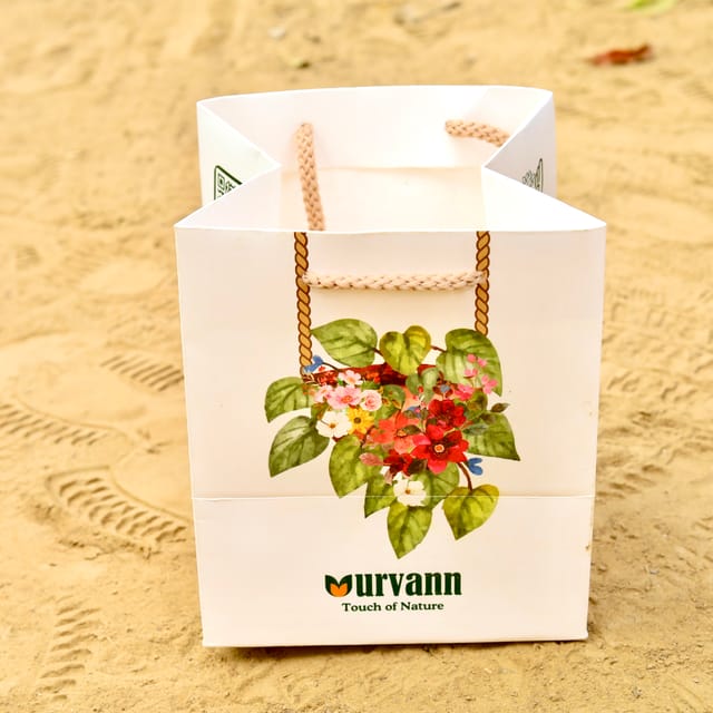 Urvann Touch of Nature Gift Bag - Can Hold Planter of Upto 6 Inch