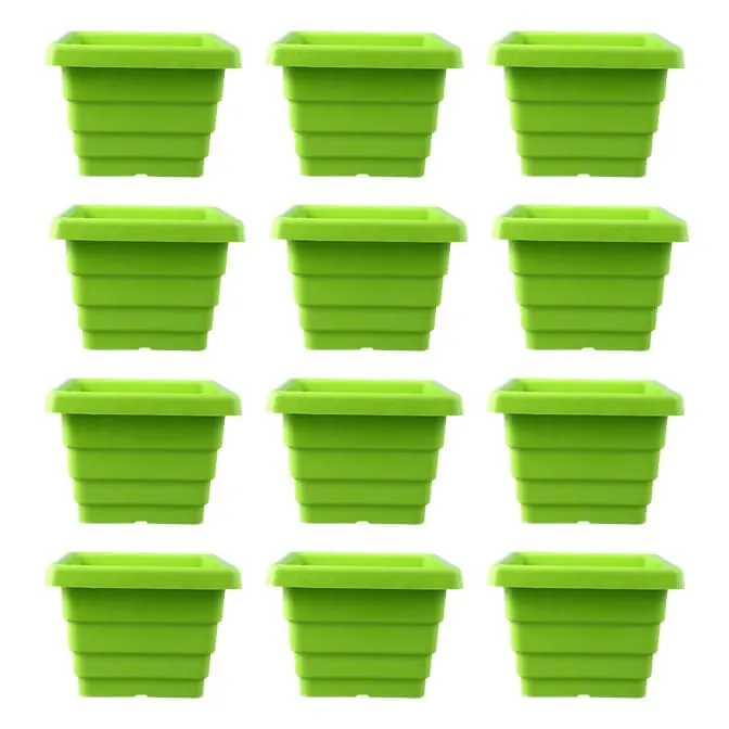 Set of 12 - 4 Inch Green Premium Orchid Square Plastic Pot