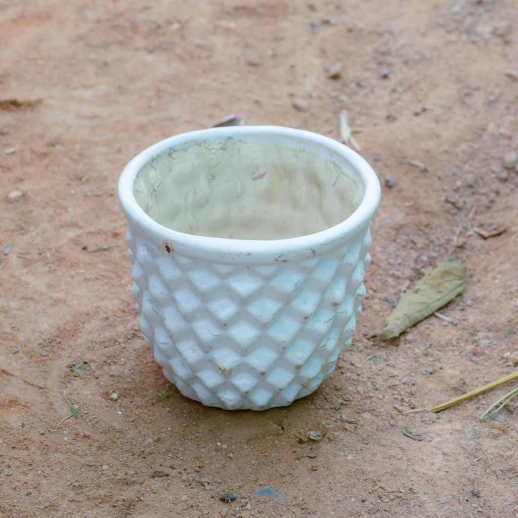 Buy 4 Inch White Pineapple Designer Ceramic Pot Online | Urvann.com 4 Inch White Pineapple Designer Ceramic Pot
