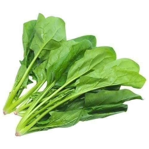 Palak / Spinach Seeds / Bachal Kura - Excellent Germination