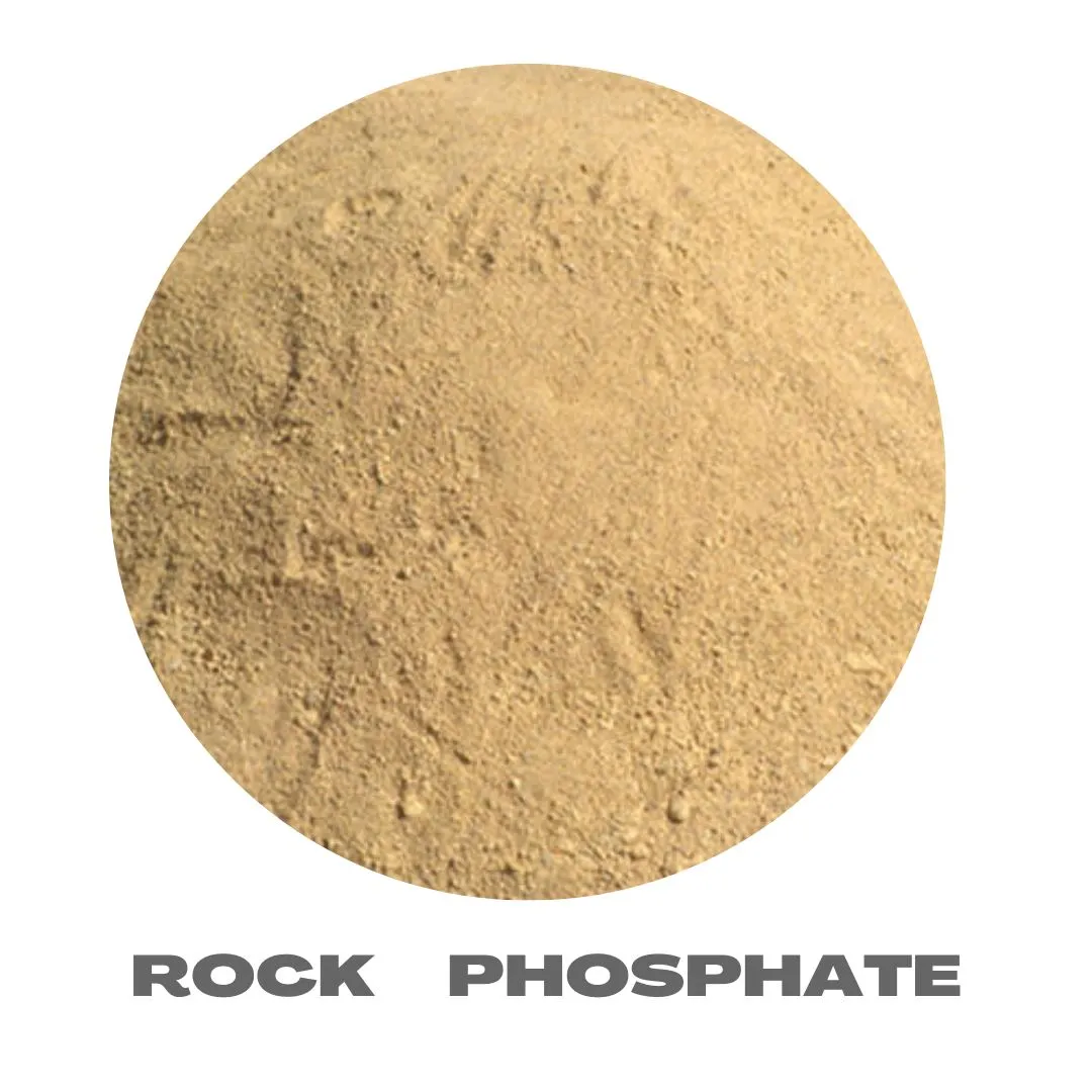 Rock Phosphate - 500 Gm - Improves root strength and flowering