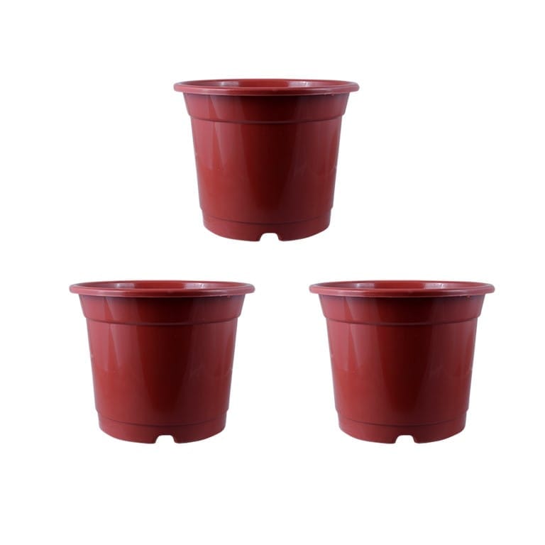 Buy Set of 03 - 4 Inch Red Nursery Pot Online | Urvann.com Set of 03 - 4 Inch Red Nursery Pot