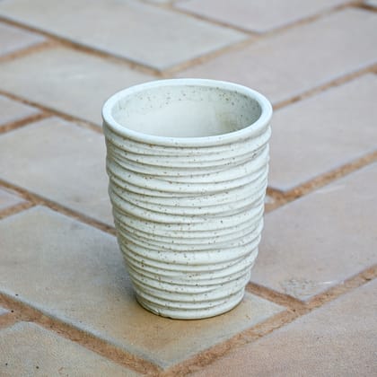5 Inch White Glass Designer Ceramic Pot (any design) in 5 Inch Ceramic Pot