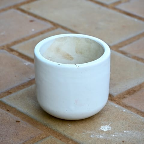 4 Inch Classy White Cup Ceramic Pot