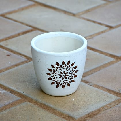 3 Inch White Cup Designer Ceramic Pot in 3 Inch Ceramic Pot