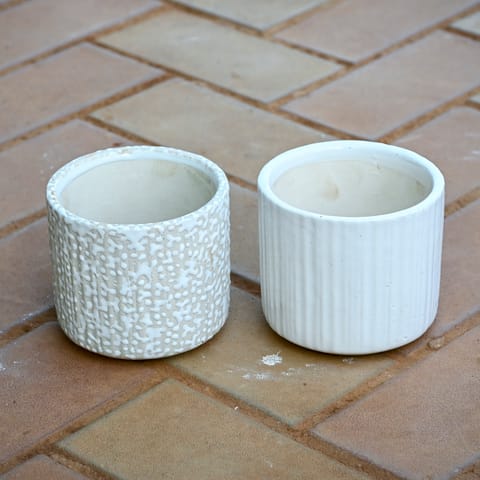 Set of 2 - 5 Inch Classy White Cup Ceramic Pot (any design) in 5 Inch Ceramic Pot