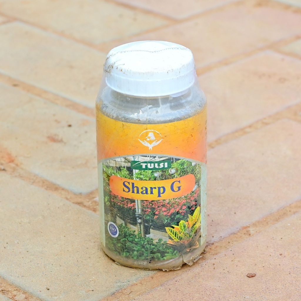 Buy Tulsi Sharp G - 500 Gm Online | Urvann.com Tulsi Sharp G - 500 Gm