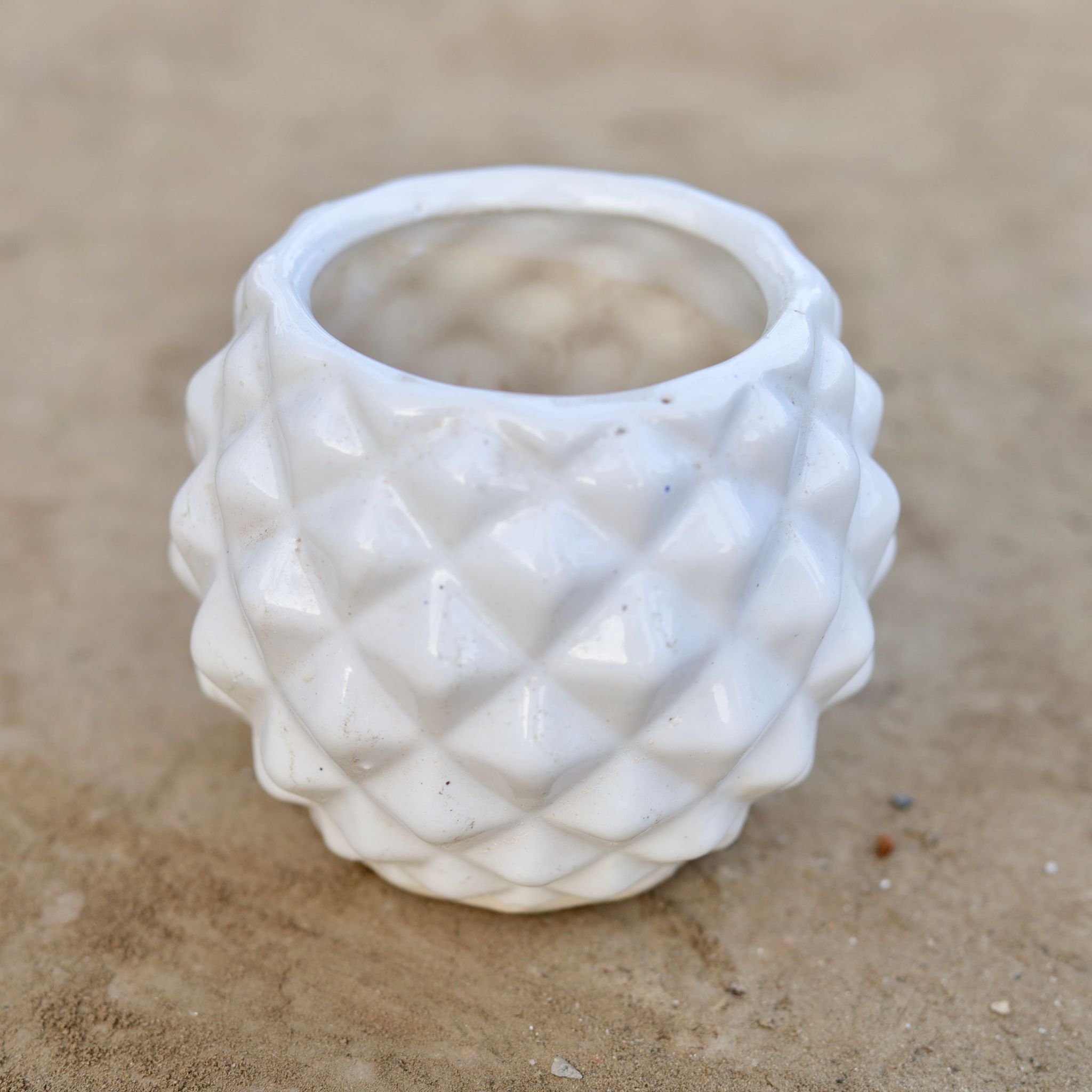 5 Inch Pineapple Ceramic Pot (Any Colour)