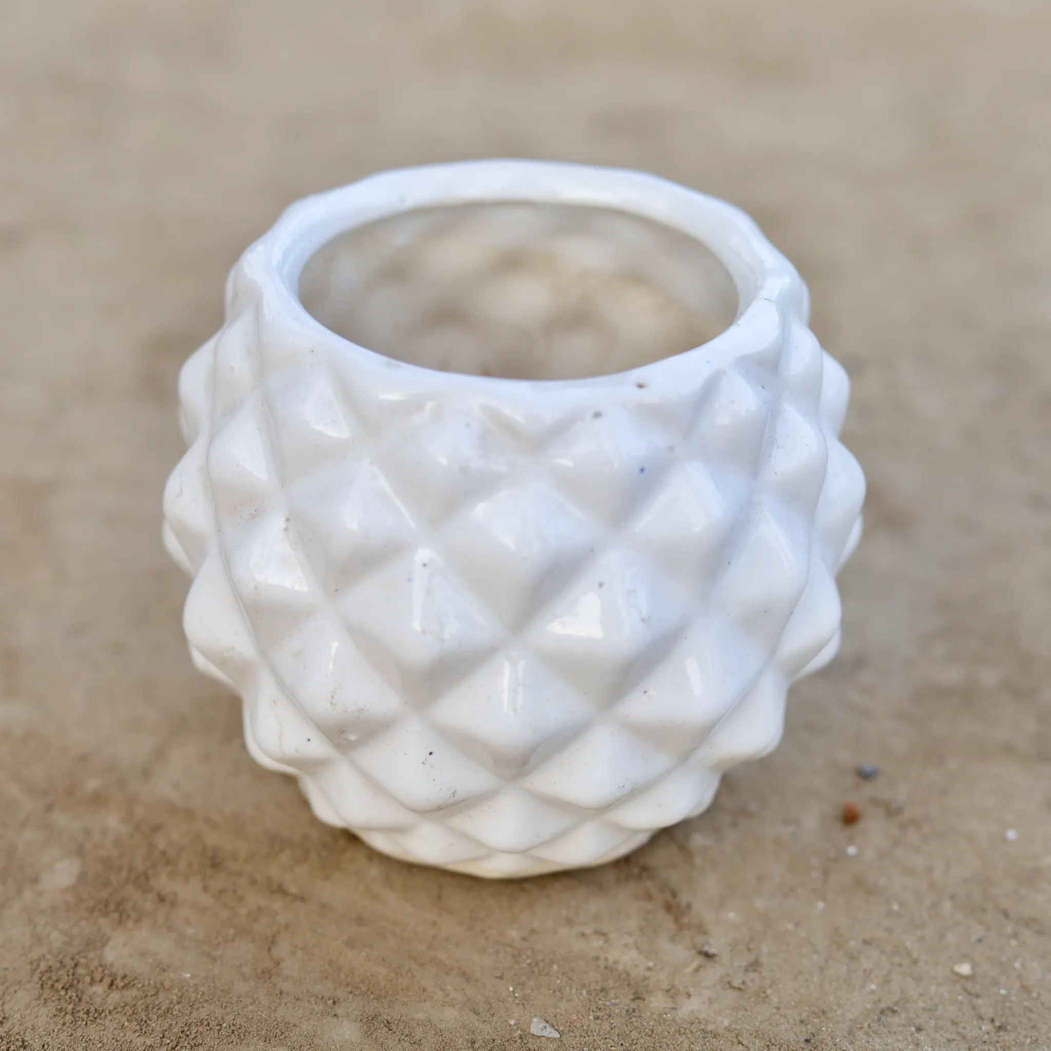 5 Inch Pineapple Ceramic Pot (Any Colour)