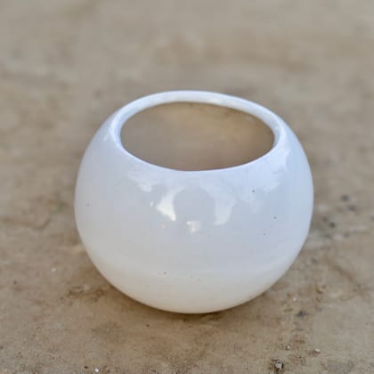 Buy 4 Inch Eclipse Sphere Ceramic Pot (Any Colour) Online | Urvann.com