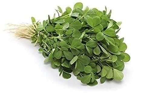 Fenugreek / Methi Seeds - Excellent Germination