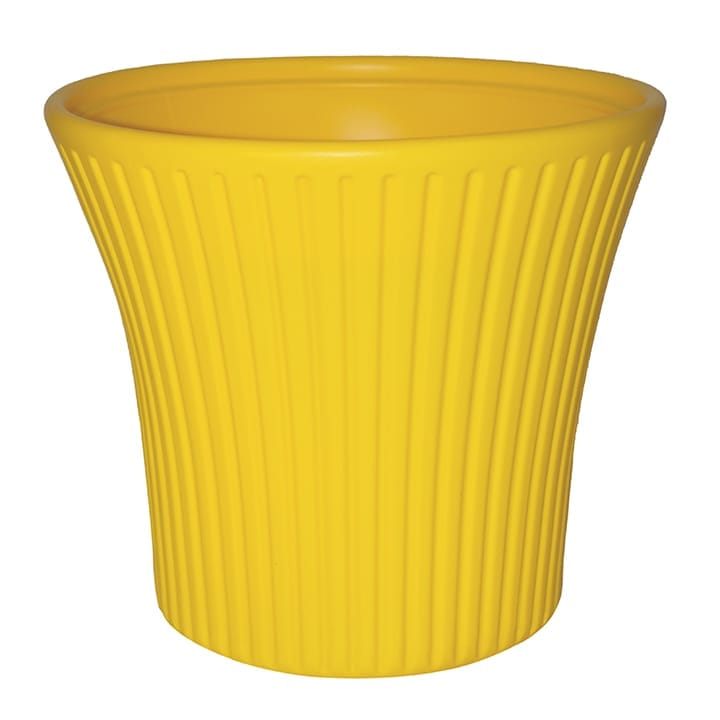 8 Inch Yellow Sunrise Plastic Pot