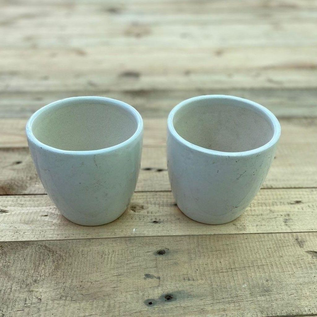 Set of 2 - 3 x 4 Inch White Elegant Cup Ceramic Pot