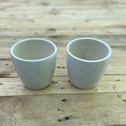 Buy Set of 2 - 3 x 4 Inch White Elegant Cup Ceramic Pot Online | Urvann.com