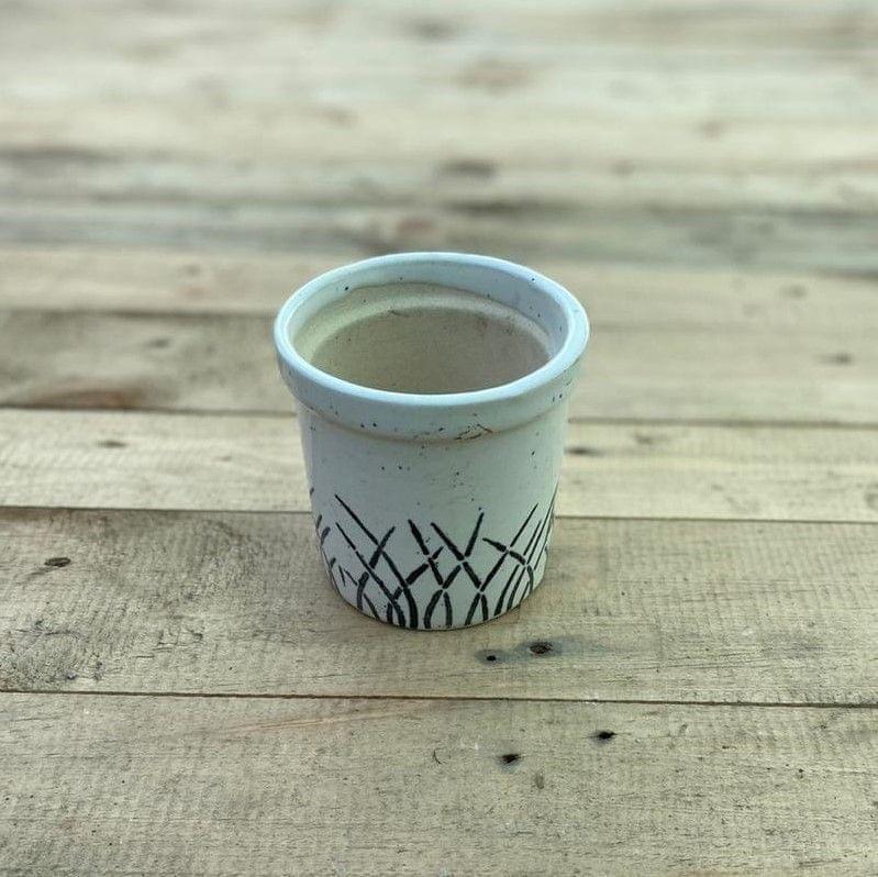 Buy 3 X 5 White Collar Designer Cup Ceramic Pot Online | Urvann.com 3 X 5 Inch White Collar Designer Cup Ceramic Pot