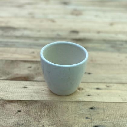 Buy 3 x 4 Inch White Elegant Cup Ceramic Pot Online | Urvann.com