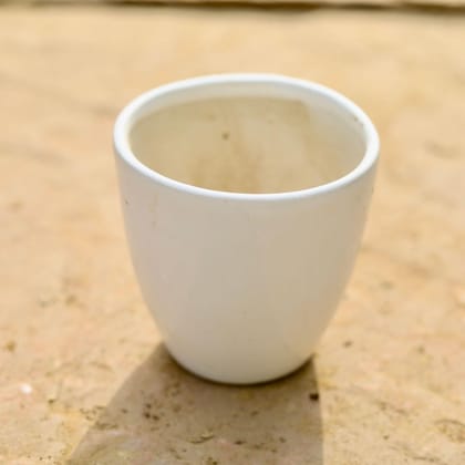 3 Inch White Ashwani Cup Ceramic Pot,Pots:Ceramic Planters:Royal Ceramic Pots