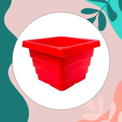 Free Gift - 4 Inch Red Premium Orchid Square Plastic Pot - Flash Sale