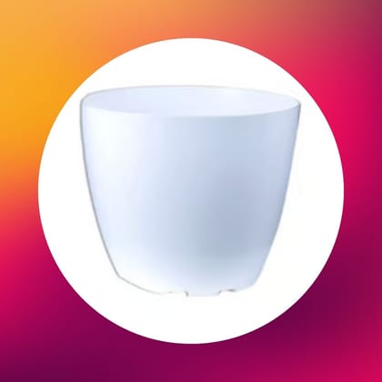 Free Gift - 4 Inch White Premium Orchid Round Plastic Pot - Flash Sale