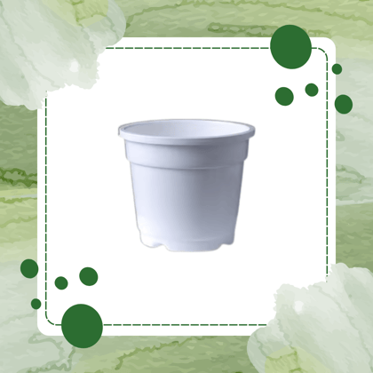 Free Gift - 4 Inch White Nursery Pot - Flash Sale
