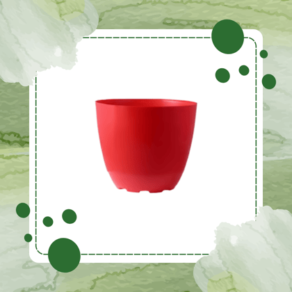 Free Gift - 4 Inch Red Premium Orchid Round Plastic Pot - Flash Sale