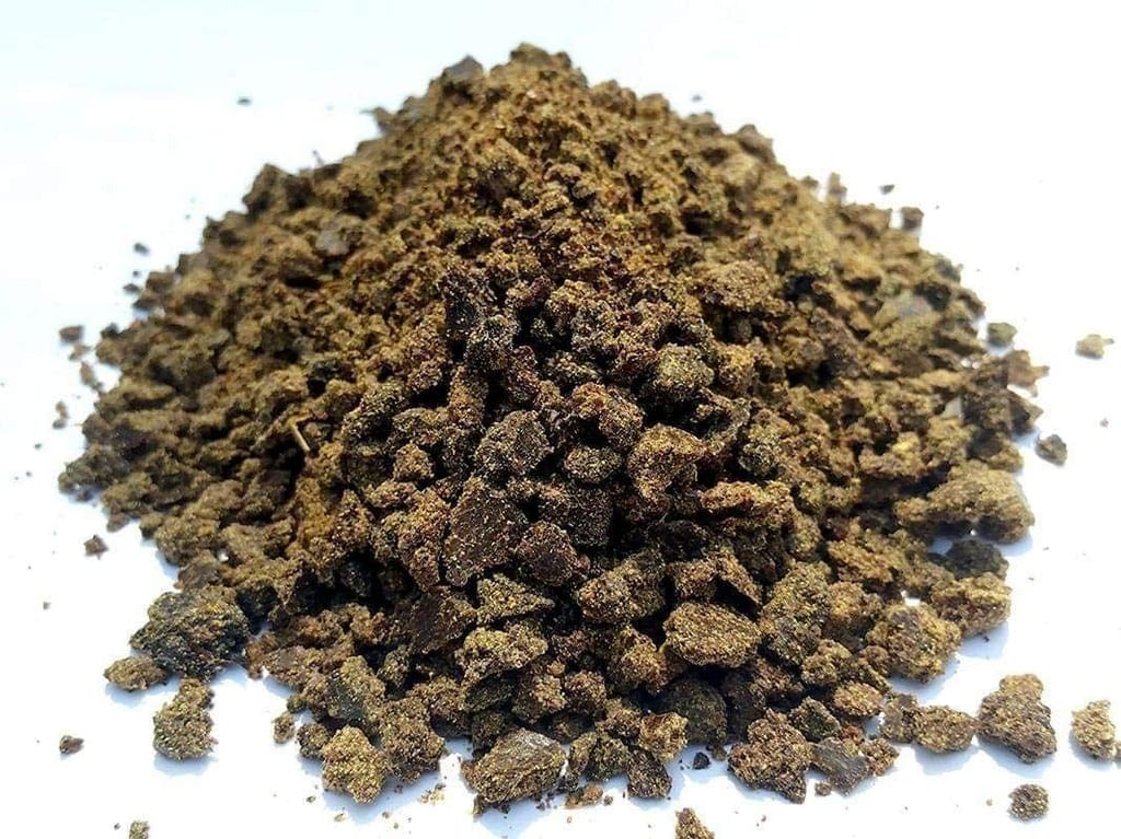 Buy Mustard Cake - 1kg Online | Urvann.com Mustard Cake - 1kg