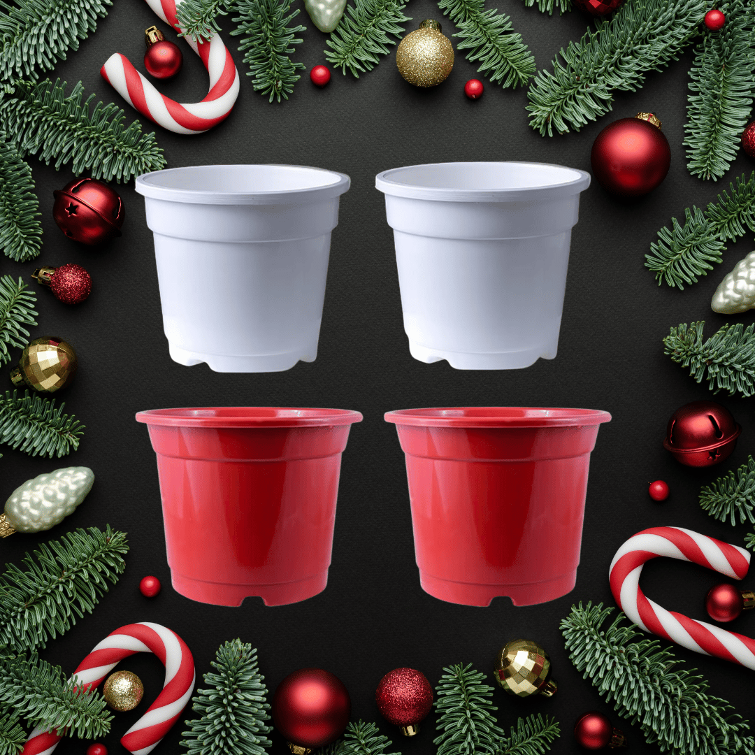 Set of 04 - 4 Inch Red & White Nursery Pot (2-2 Each)