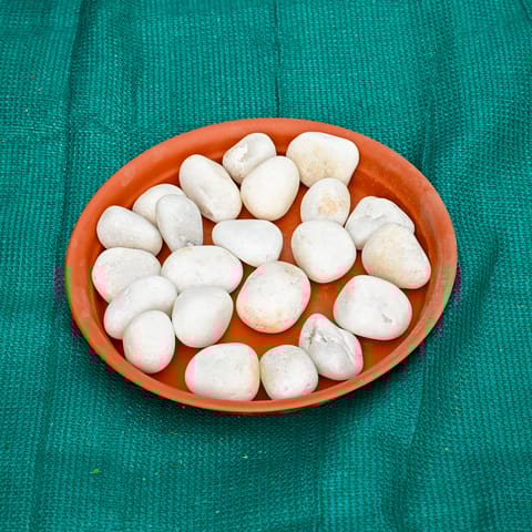 Decorative White Big Pebbles - 1 Kg