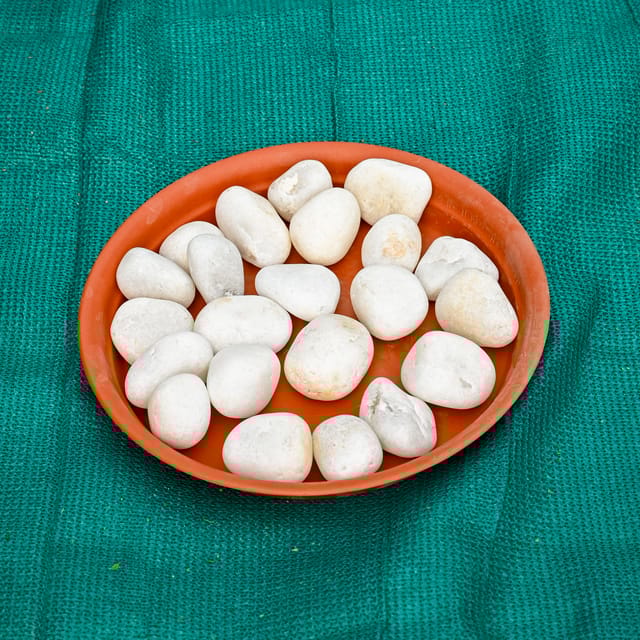 Decorative White Big Pebbles - 1 Kg