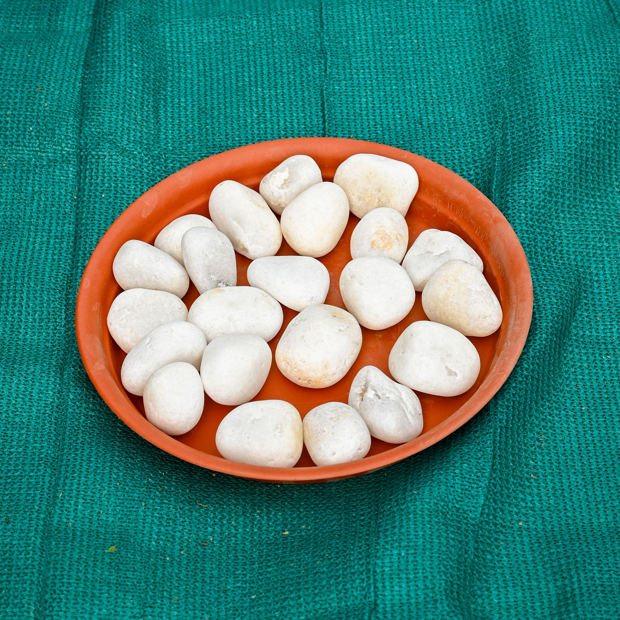 Decorative White Big Pebbles - 1 Kg