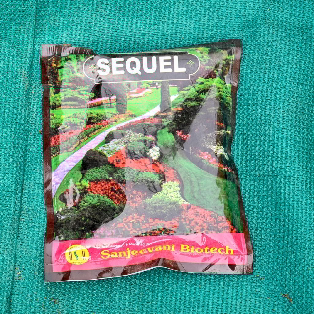 Buy Sequel - 500 Gm Online | Urvann.com Sequel - 500 Gm