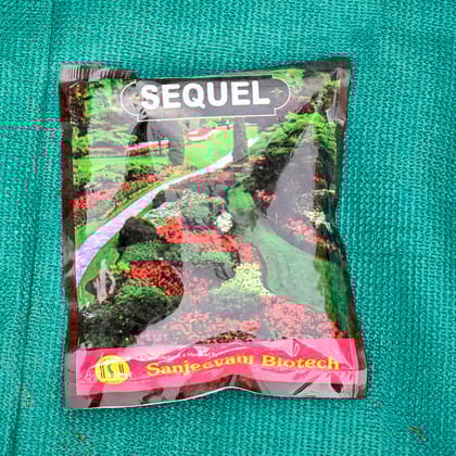 Buy Sequel - 500 Gm Online | Urvann.com