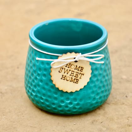 Buy 4 Inch Blueberry Bliss Ceramic Planter Online | Urvann.com