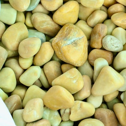 Buy Decorative Medium Brown Pebbles - 1 Kg Online | Urvann.com