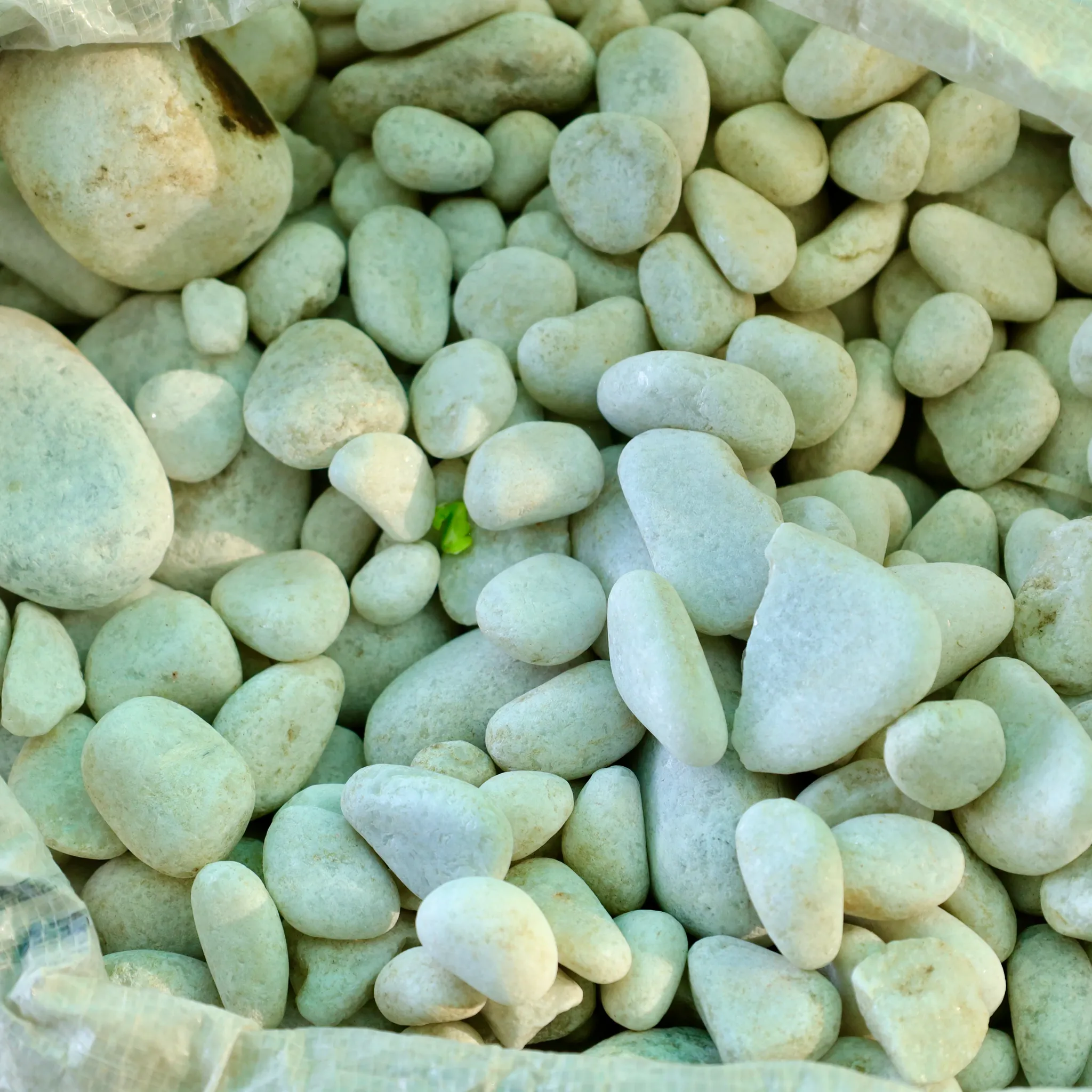 Decorative Small White-Grey Pebbles - 1 Kg