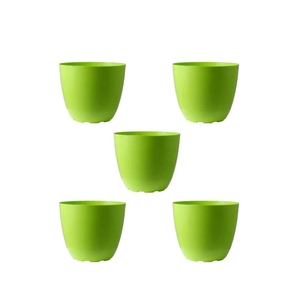 Buy Set of 5 - 4 Inch Green Premium Orchid Round Plastic Pot Online | Urvann.com Set of 5 - 4 Inch Green Premium Orchid Round Plastic Pot