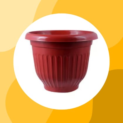 Free Gift - 8 Inch Terracotta Red Olive Plastic Pot - Flash Sale