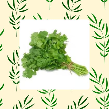 Free Gift - Coriander / Dhaniya Seeds - Excellent Germination - Flash Sale