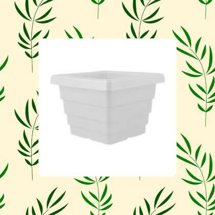 Free Gift - 4 Inch White Marble Premium Orchid Square Plastic Pot - Flash Sale