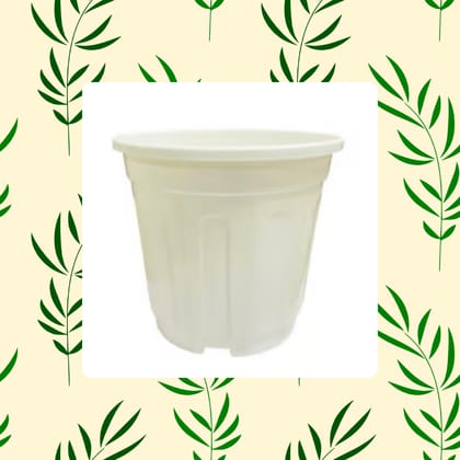 Free Gift - 6 Inch White Super Nursery Pot - Flash Sale