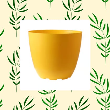 Free Gift - 4 Inch Yellow Premium Orchid Round Plastic Pot - Flash Sale