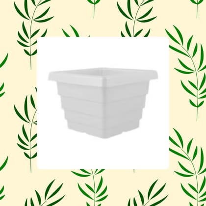 Free Gift - 4 Inch White Marble Premium Orchid Square Pot - Flash Sale