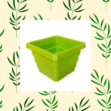 Free Gift - 4 Inch Green Premium Orchid Square Plastic Pot - Flash Sale