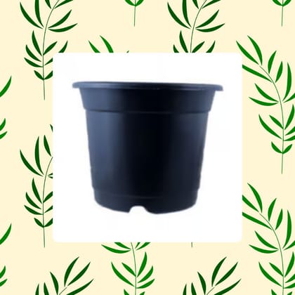 Free Gift - 4 Inch Black Nursery Pot - Flash Sale