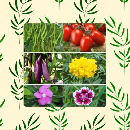 Free Gift - Assorted Seeds - Excellent Germination - Flash Sale